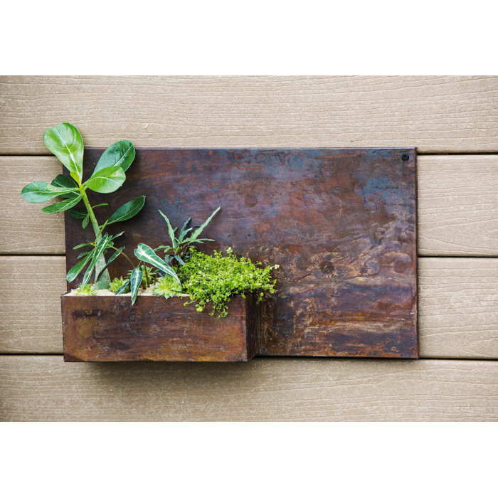 Cynthia Metal Wall Planter Cynthia Metal Wall Planter