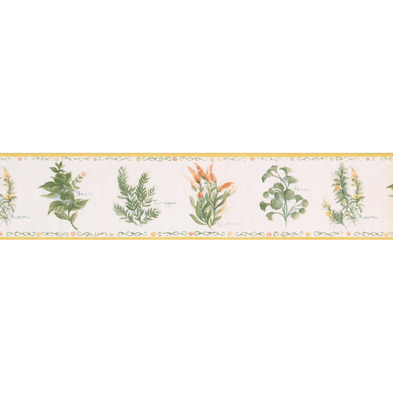 August Grove Boothe Spice Plants Kitchen Retro Design 15 L X 5 25