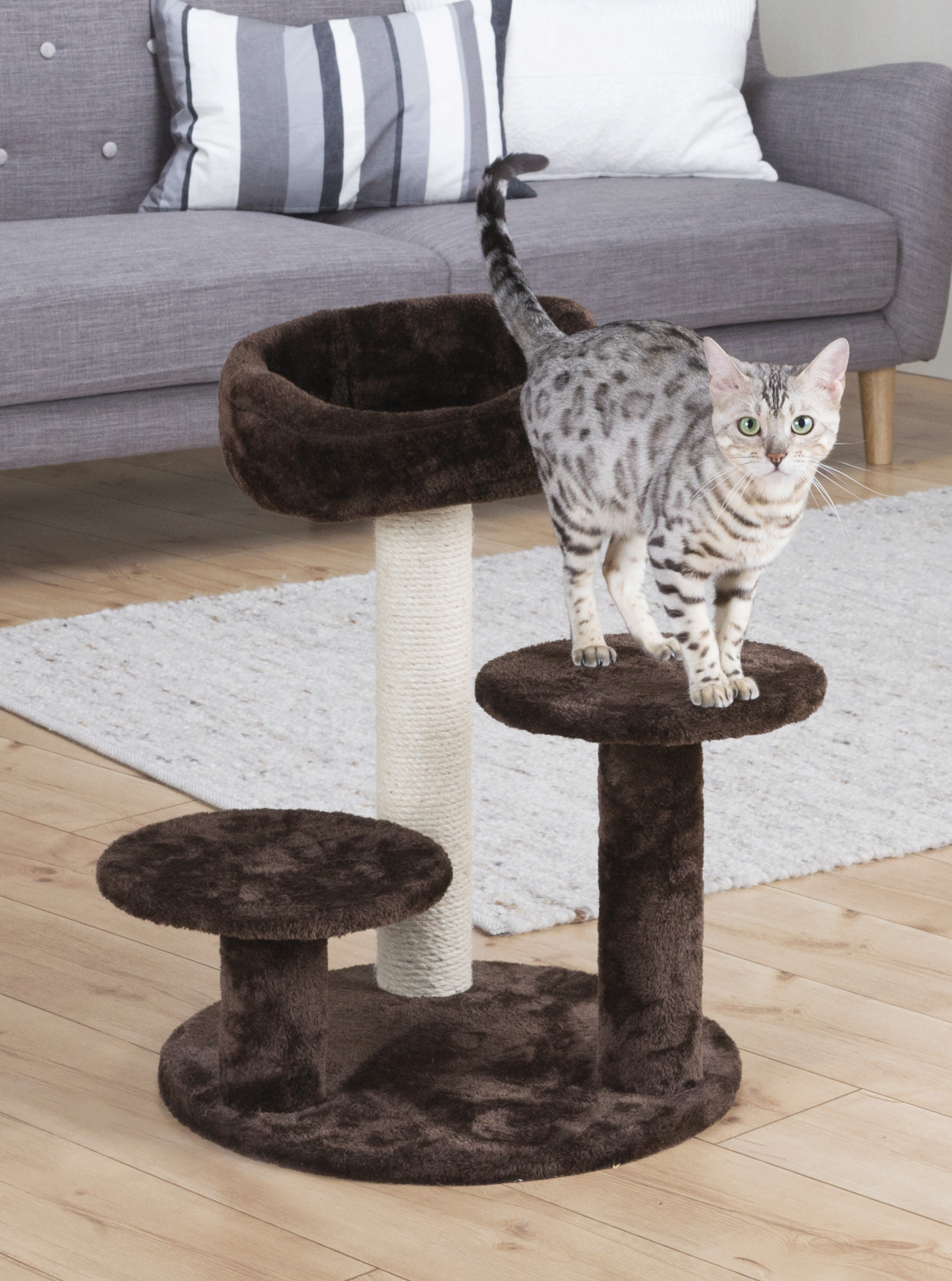 midnight molly cat scratcher