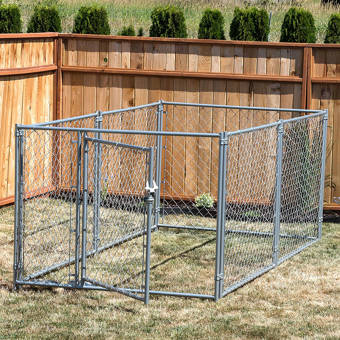 allie yard kennel