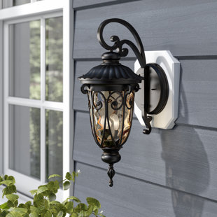 Go to store & view more images Erickson 1-Light Outdoor Wall Lantern by Astoria Grand