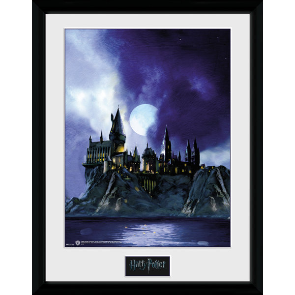 Harry Potter Wall Art Wayfair Co Uk You can set up the vinyl decal quickly without any tools. harry potter wall art