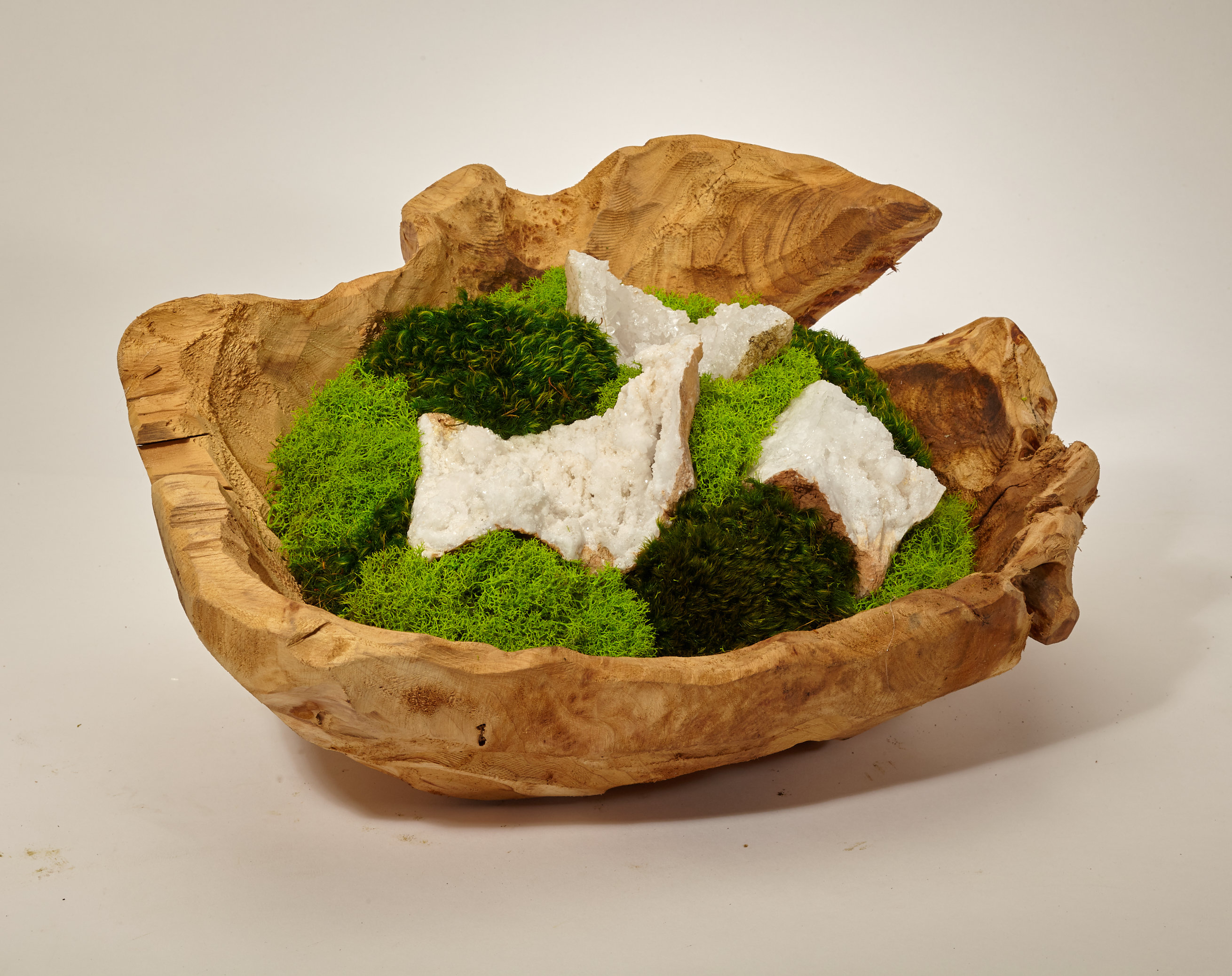 T C Floral Company Organic Moss Garden Mixed Floral Arrangement In Wood Bowl
