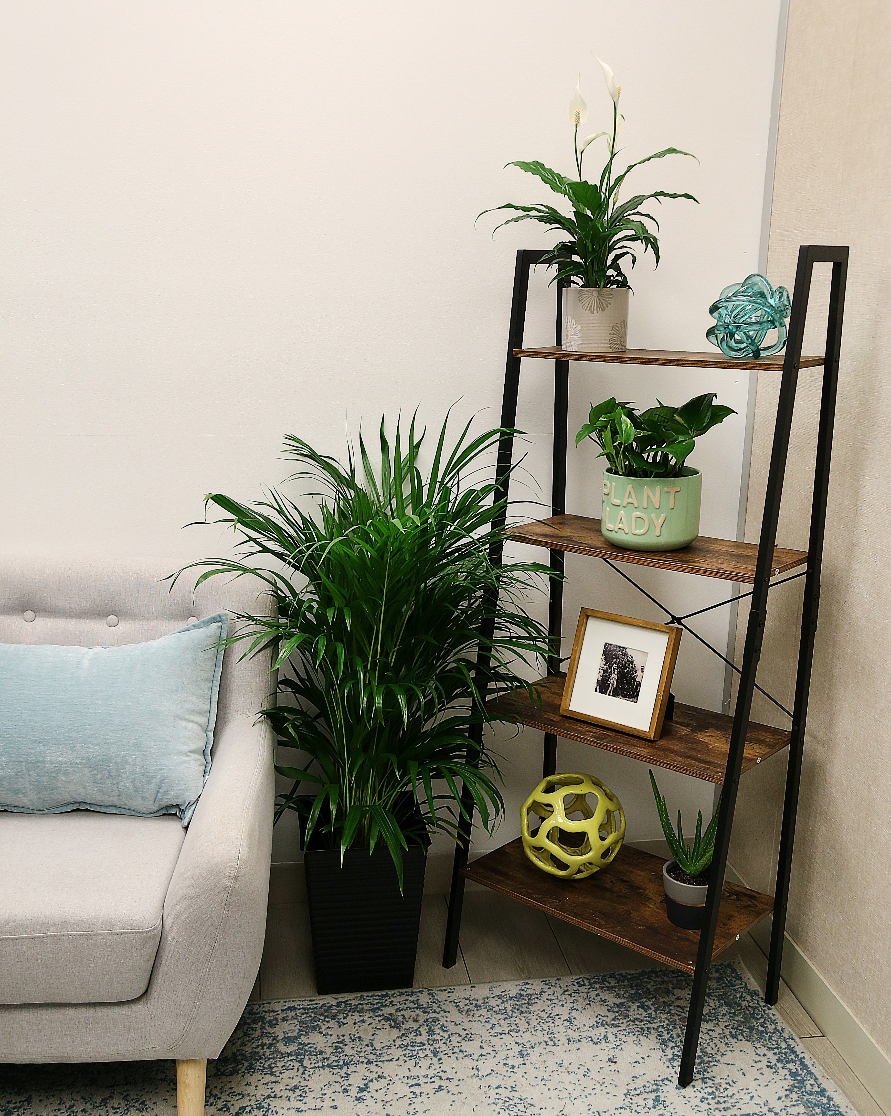 wayfair standing planter on Costa Farms 11 Live Peace Lily Plant In Planter Reviews Wayfair