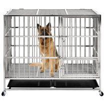 cyrus dog crate