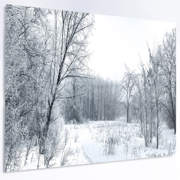 Designart Beautiful Winter Panorama Photographic Print On Metal