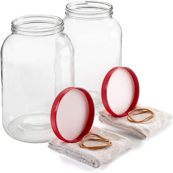 Great Gift Glass Mason Jar Bank Multiple To Choose From