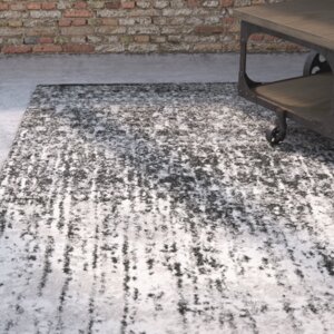 Twentynine Palms Black/Light Grey Area Rug