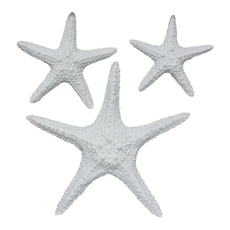 Highland Dunes 3 Piece Starfish Wall Decor Set Reviews Wayfair