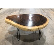 Black Walnut Coffee Tables You Ll Love In 2021 Wayfair