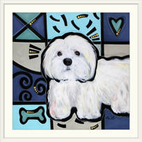 havanese items