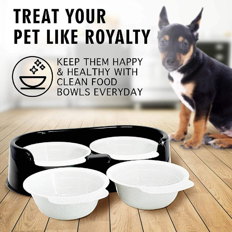 cleaning dog bowls