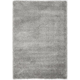 7 X 9 Area Rugs You Ll Love Wayfair Jonathan Silver Area Rug