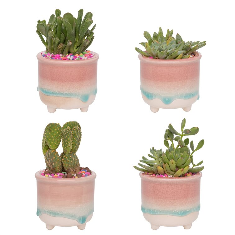 Ice Crack Glaze Flower Ceramics Succulent Plant Mini Pot Garden Flowerpot CHIC