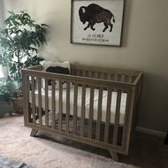 Wooster 3 In 1 Convertible Crib Reviews Allmodern