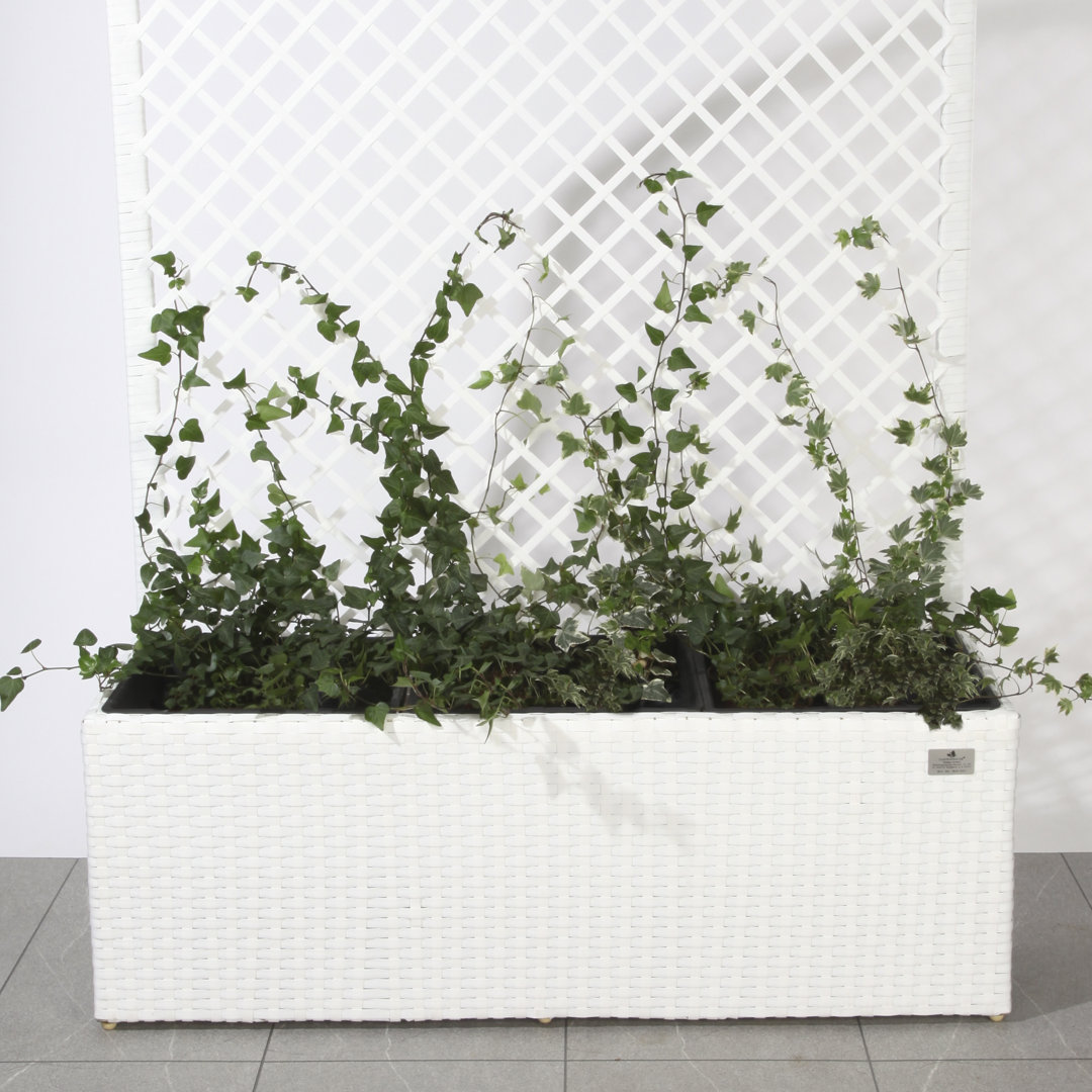 Plastic Planter Box