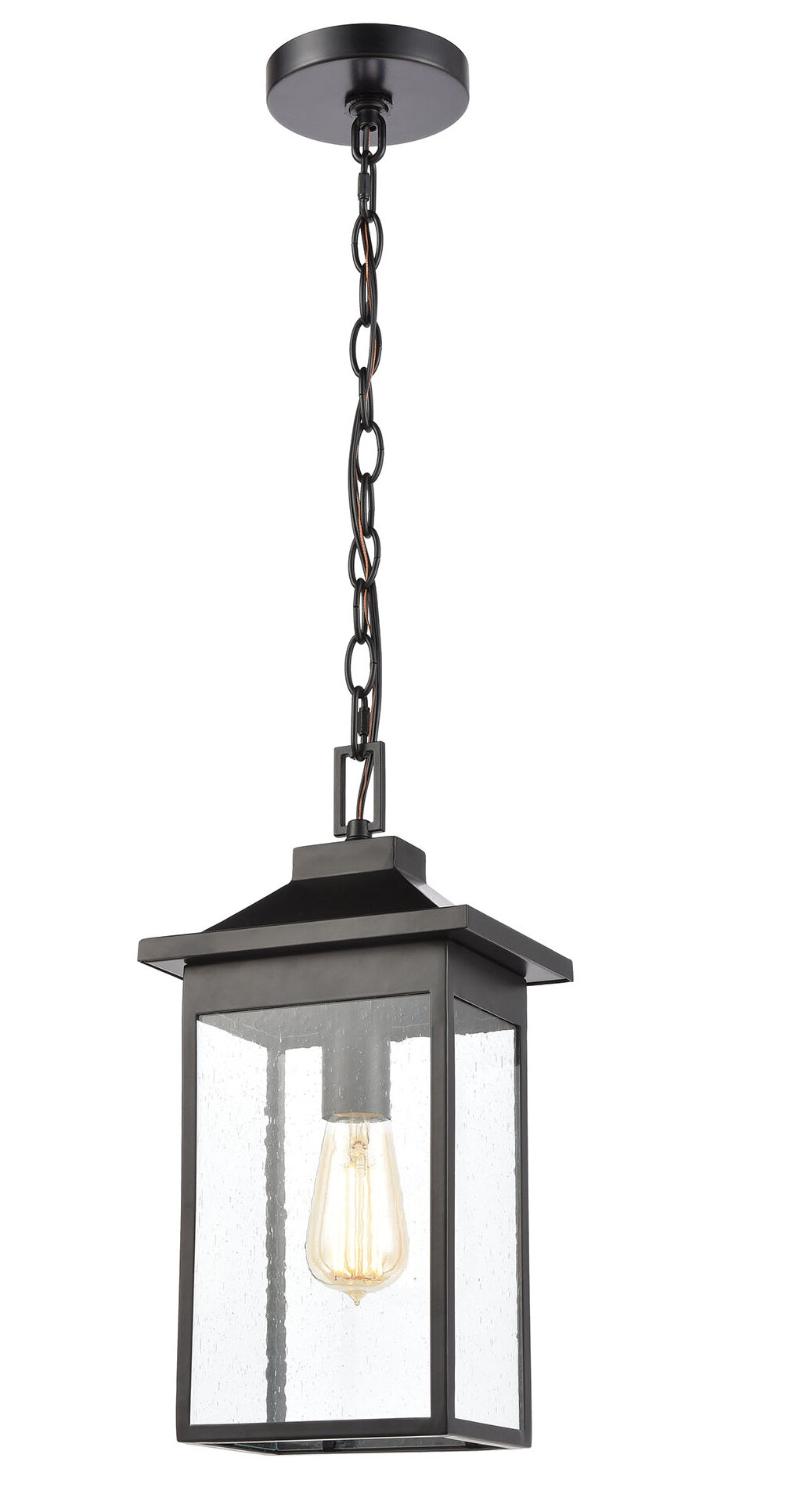 Ebern Designs Edwige Outdoor Hanging Lantern | Wayfair