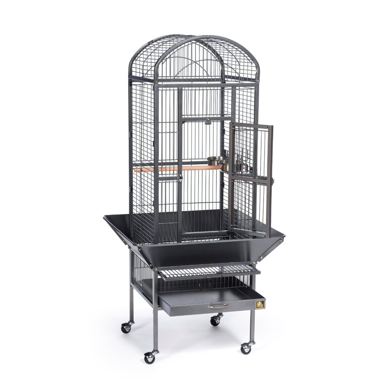 small black bird cage