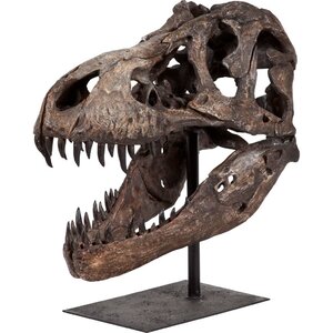 Tyrannosaurus Bust