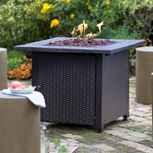 Propane Gas Fire Table Wayfair Co Uk