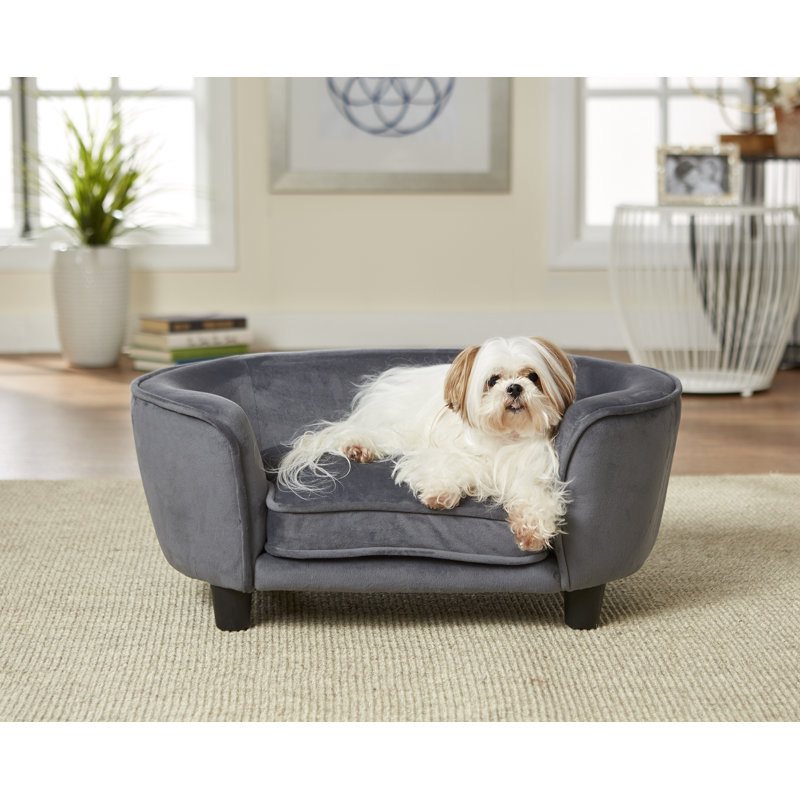 wayfair dog sofa