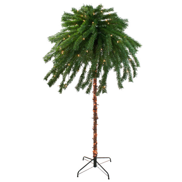 Outdoor Front Porch Trees Wayfair