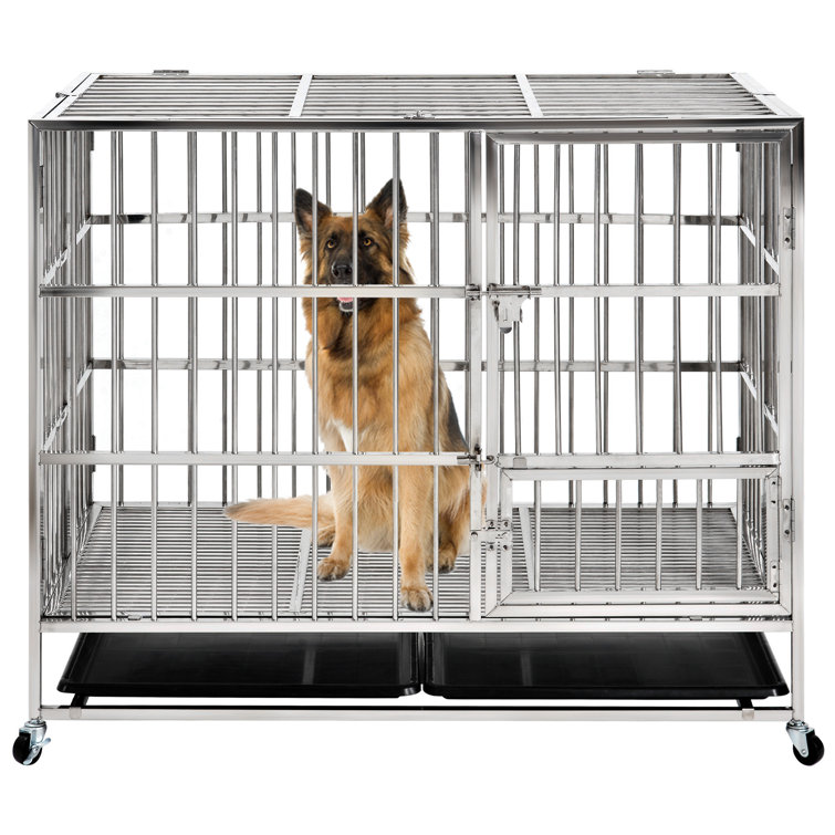 dog crate and pen
