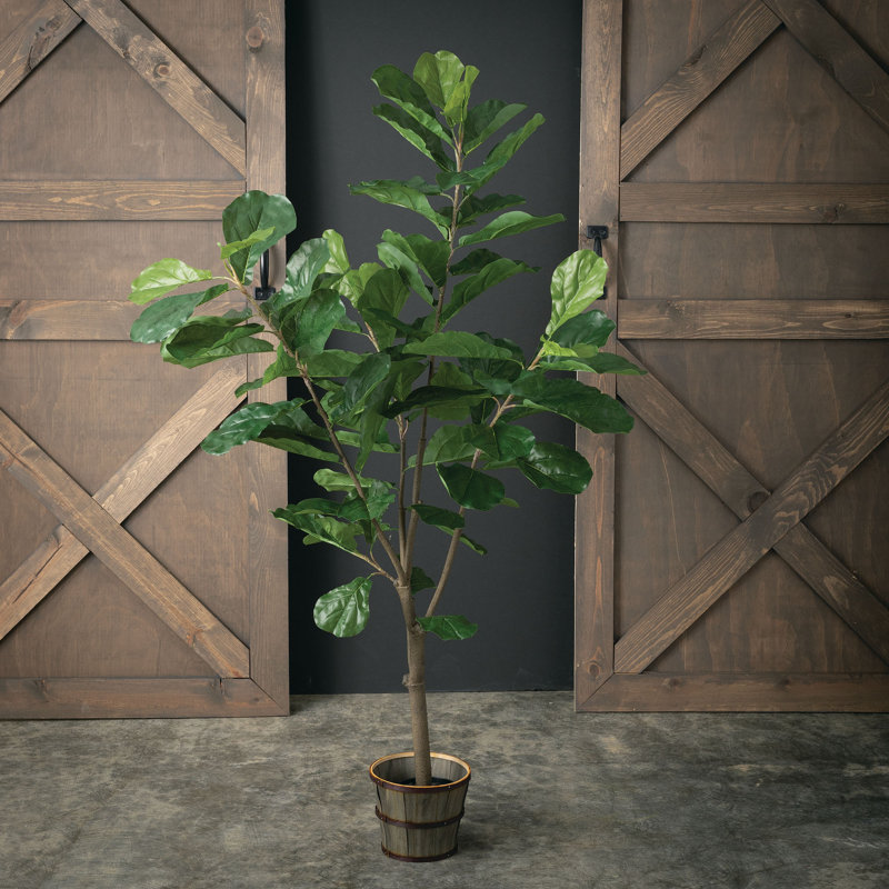 Gracie Oaks 57" Artificial Fiddle Leaf Fig Tree in Pot & Reviews Wayfair