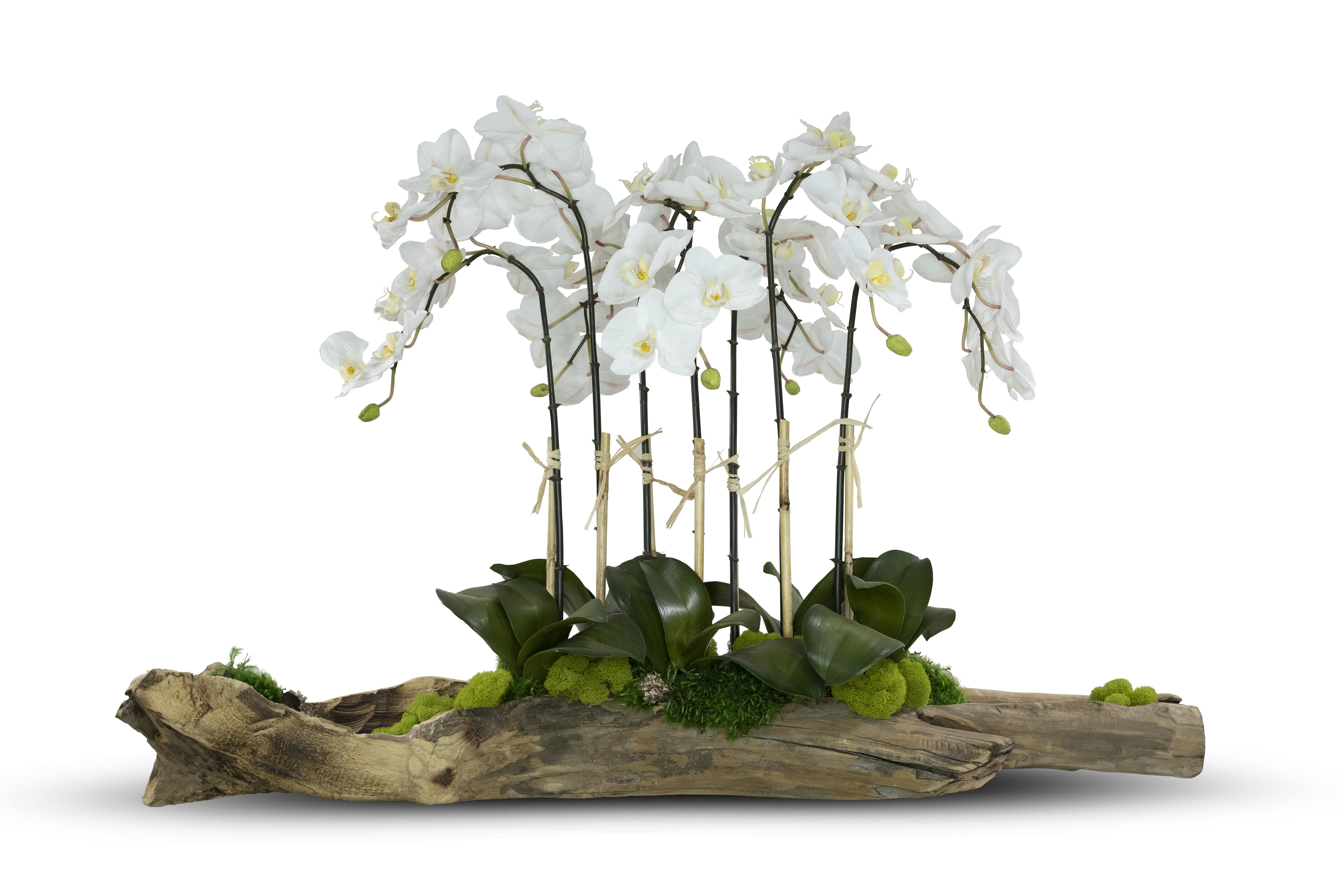 non-brand 100 Piezas Modelo de Árbol de Flor de Orquídea para Material de Construcción de Paisaje Rosa Verde 