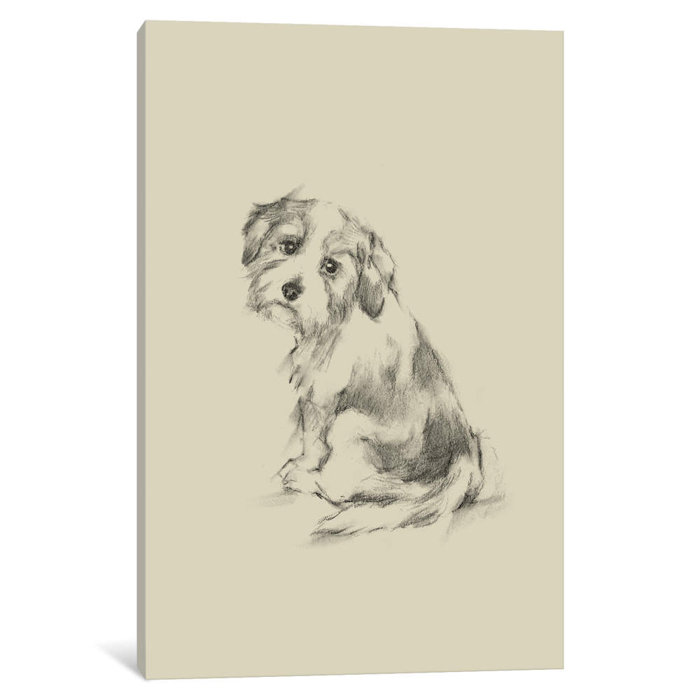Ethan Harper Puppy Dog Eyes Iii Print On Wrapped Canvas