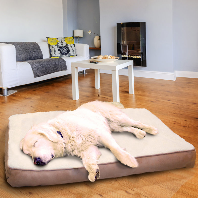 Top 10 Dog Beds – 2018 Reviews