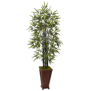 Bamboo You Ll Love Wayfair Artificial Floor Bamboo Tree In Rectangular Planter
