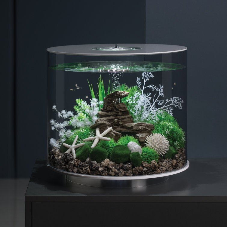 column fish tank