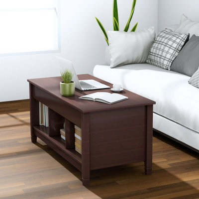 alina lift top coffee table with storage