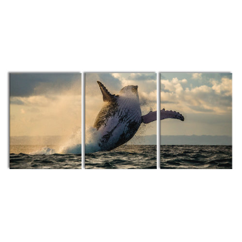 Canadian Humpback Whale - 3 Piece Wrapped Canvas Photograph Print Set East Urban Home Size: 80cm H x 180cm W