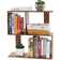 Ebern Designs Emmie 2 Tier Shelves Display Bookcase Desk Organizer ...