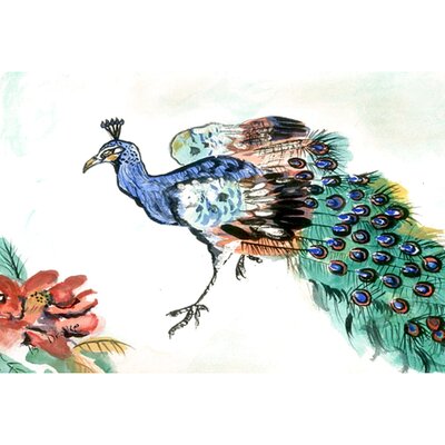 Peacock | Wayfair