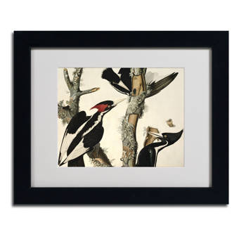 Trademark Art Le Metro As Art By Kathy Yates Framed Photographic Print Wayfair