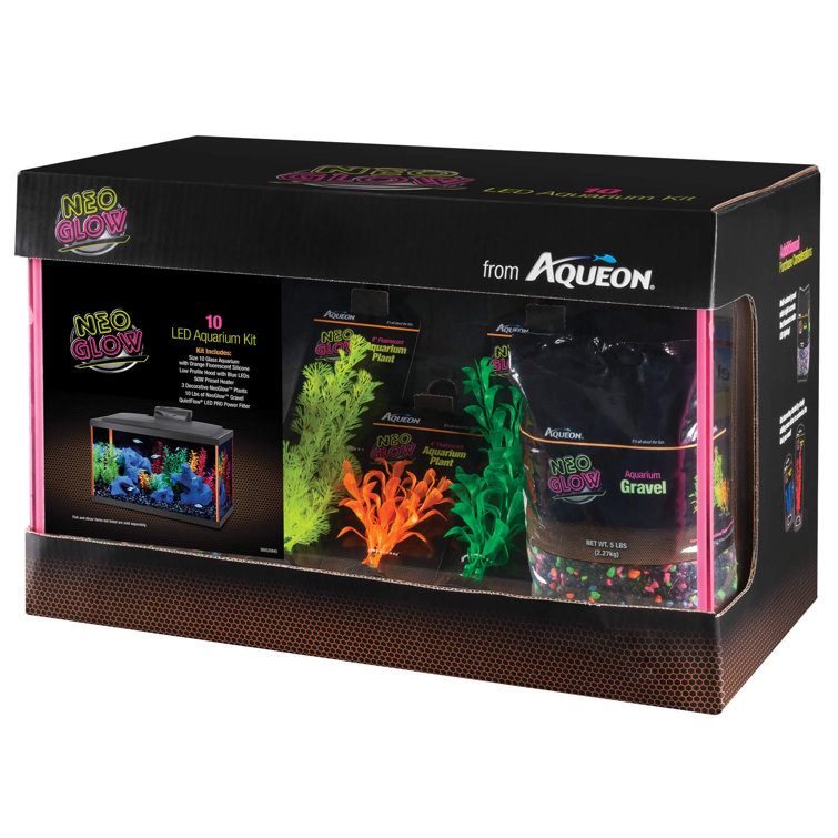 10 gallon starter kit