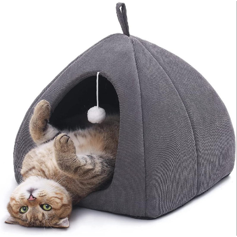 cat pod outdoor