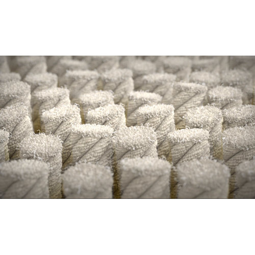 BISSELL JetScrub Max Pet Carpet Deep 