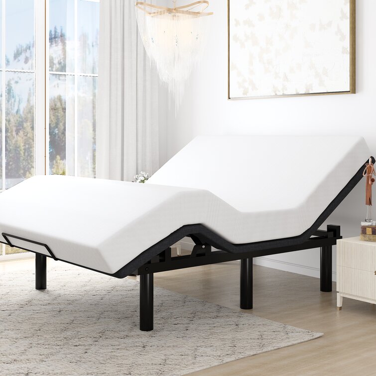 The Twillery Co.® Shreya Adjustable Bed with Wireless Remote & Reviews ...