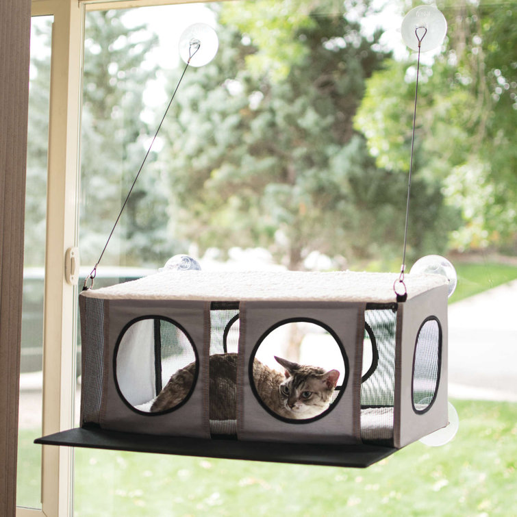 outdoor cat pod