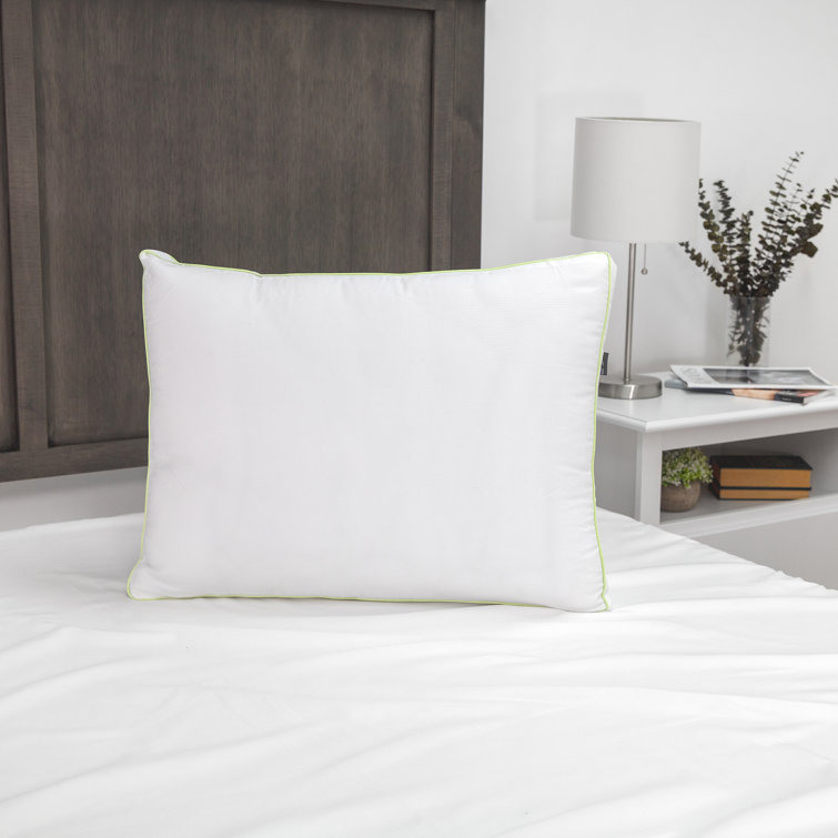 my pillow dog bed reviews