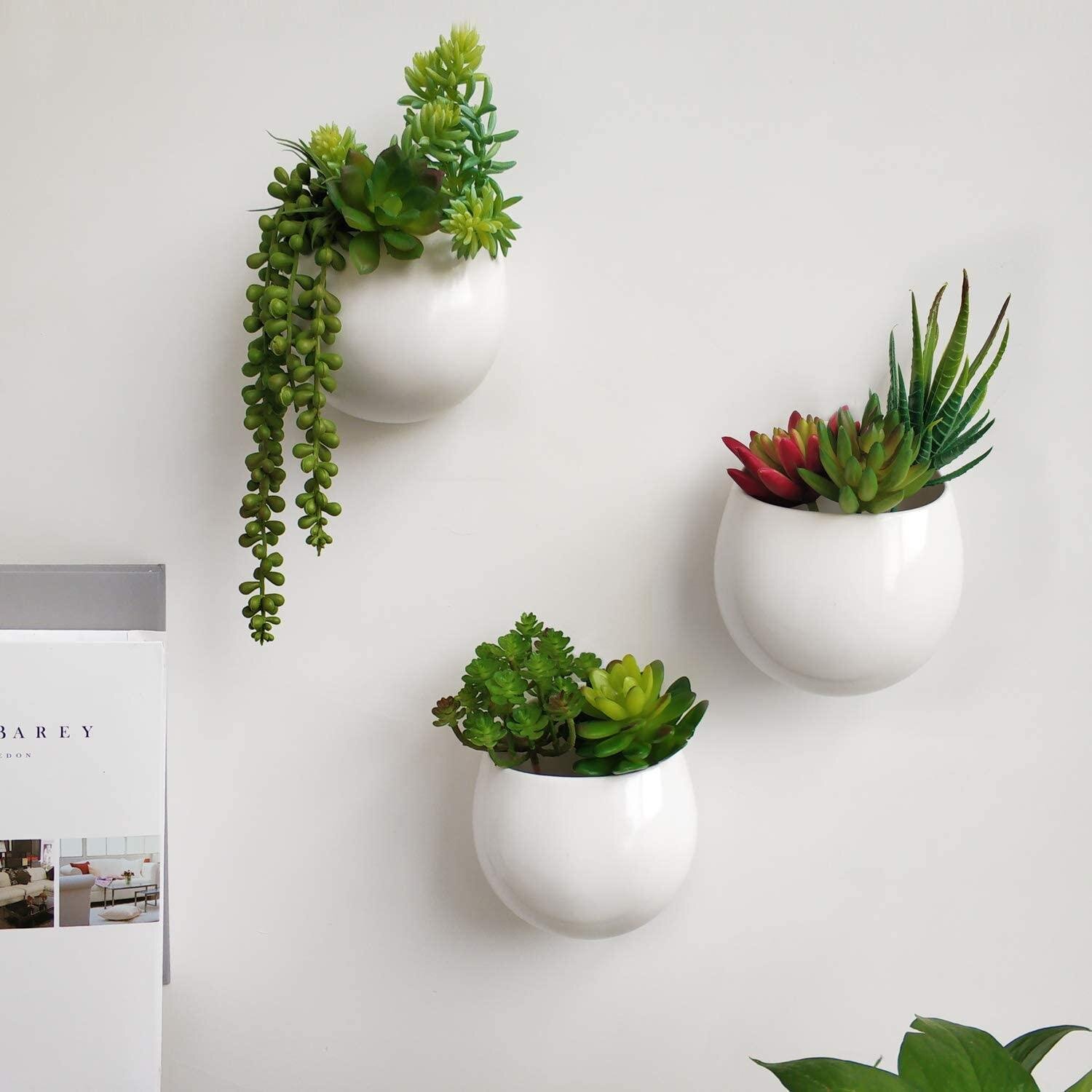 Decorative picks for indoor plants