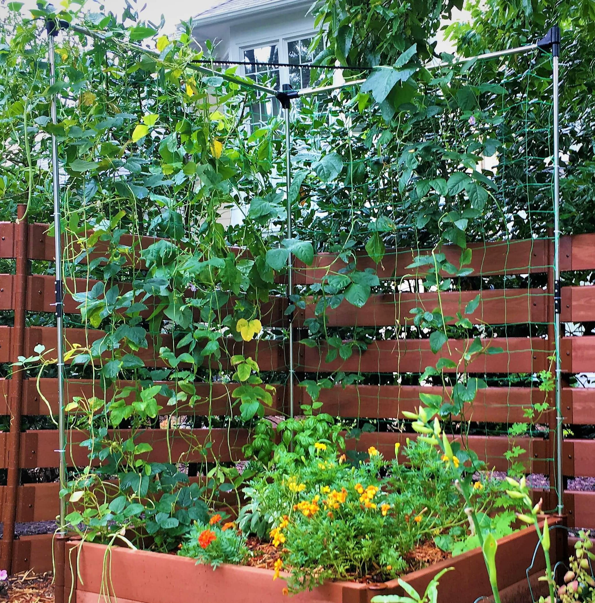 for Raised Garden 6' Veggie Wall Trellis Kit 