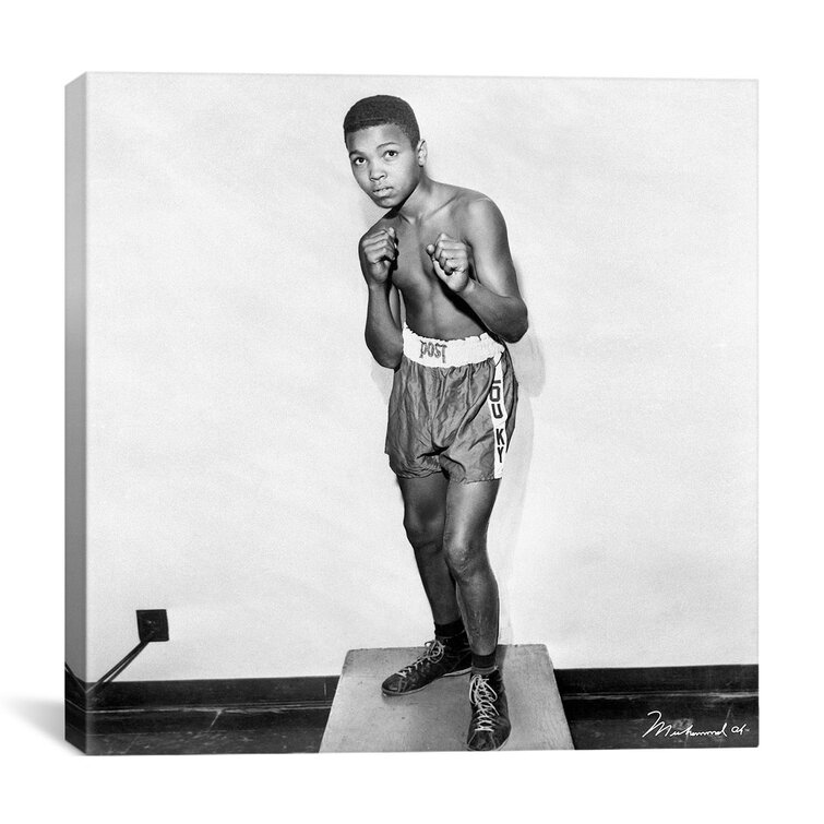 Muhammad Ali FIST Cassius Clay 10x8 Photo 