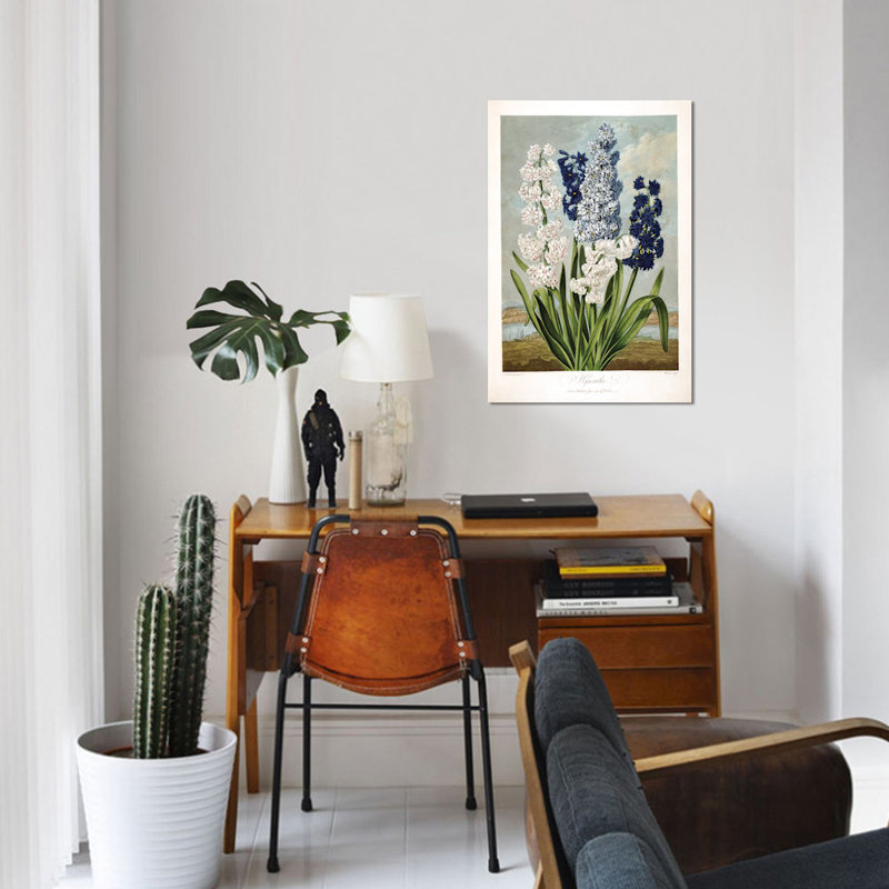 East Urban Home Thornton S Temple Of Flora Series Hyacinths