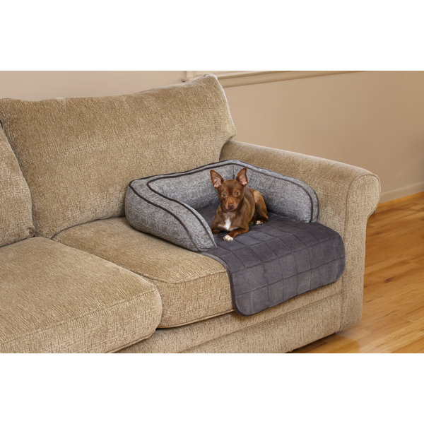 serta small dog bed