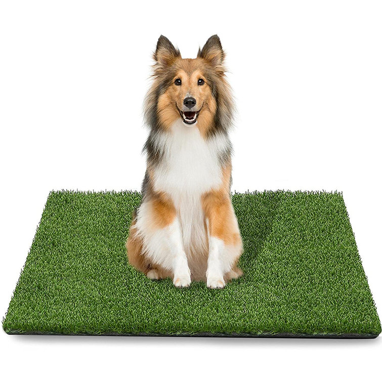 artificial turf pee pad